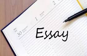 代写Essay和Essay辅导是一样的吗？